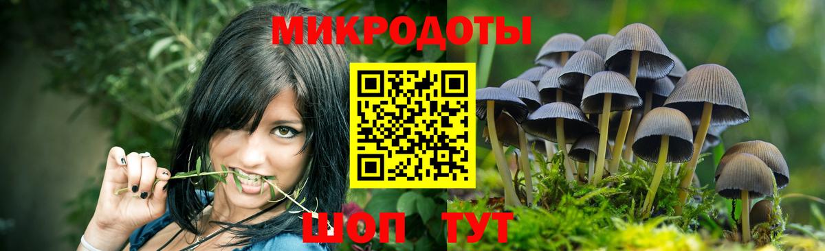Псилоцибиновые грибы Psilocybine cubensis Нижний Тагил